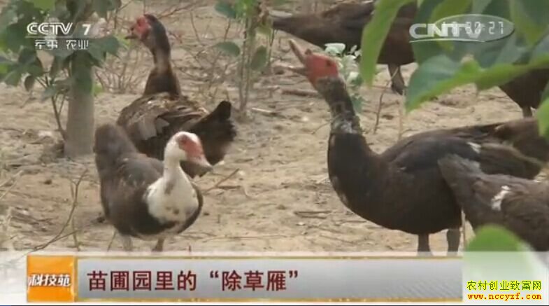 [�Ƽ�Է]����԰��ġ������㡱