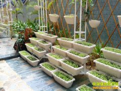 ��̨��ֲ�߲��������磿