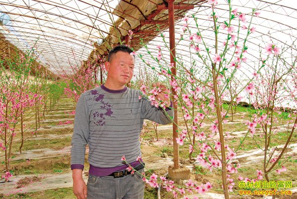 ���������� һĶ��׬�˾�ǧ