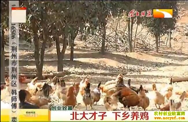 ¢������ֳ��ҵ��Ŀ��Ƶ��������� ��������