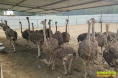 �½��������ﻢ��ֳ���񿪴��¸�·