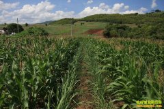 ����ѡ�����ھӡ�ũ��ʡ��ũҩǮ