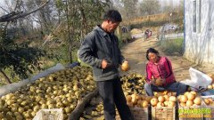 �ּ������� ��ũѹ���桱ɽ��