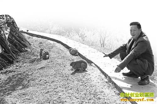 �����뽭����ֹ�԰��Ұ�ú�׬Ǯ