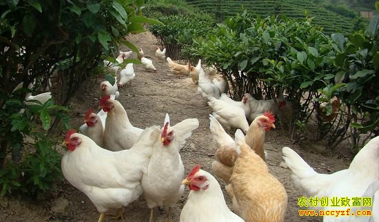 ��������֣����԰�������������¸�·