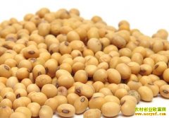 2016���Ŀ��۸���٣�ÿ��2.4Ԫ