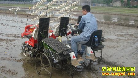 ˮ���������Ի�е��