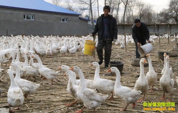 ���������ͳɱ�����