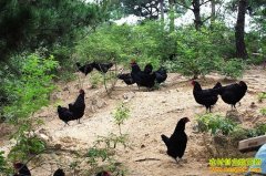 ����ǭ����ѧ�������紴ҵ���ڼ����ֵ200����