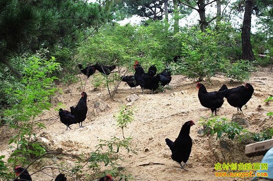 ����ǭ����ѧ�������紴ҵ���ڼ����ֵ200����