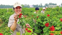 ���������������ղ�����������ݮÿĶ�����3��