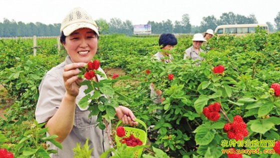 ���������������ղ�����������ݮÿĶ�����3��