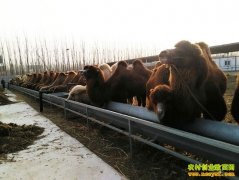 �����ճ��¸�����Ŀ����������ҵ���ũ�����¸�����