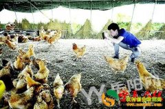 ��������80��С���΢������ҵ1������������16��