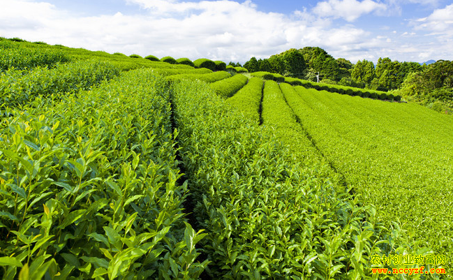 ����Т��80������������̬�ֲ��ٴ�ҵ��������ƶ�¸�