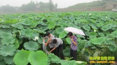 ɽ����̨�����ź��������ϺÿĶ������8000Ԫ