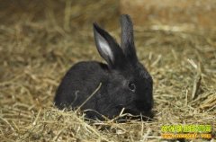 [ÿ��ũ��]��ʲô������׬Ǯ��׬Ǯ�ĺ���