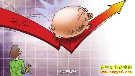 �й�����۸�����׬Ǯ������Ҫ֪������