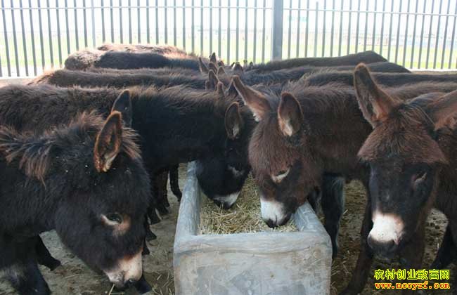 2016����¿׬Ǯ��2016��¿ǰ�����г��������