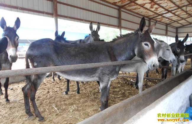 2016����¿׬Ǯ��2016��¿ǰ�����г��������