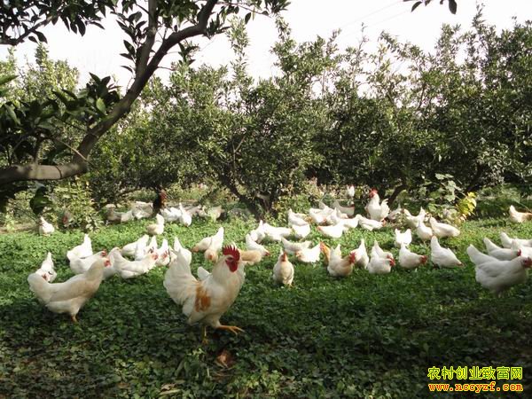 ���ݹ���Τ����̬�����ɡ����ߴ�����