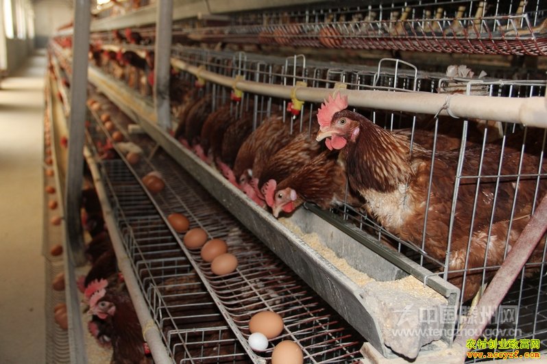 ����ᶼ��Ǭ������������ӹ�Ҳ׬Ǯ