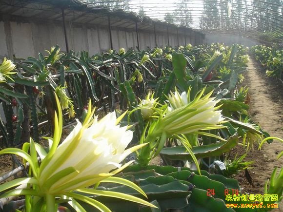 [�Ƽ�Է]���ڼ����ϵĻ�����