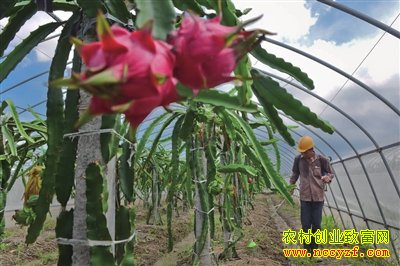 �����������ֲ