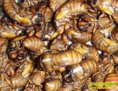 2016�������׬Ǯ��2016�����ֳǰ�����г��������