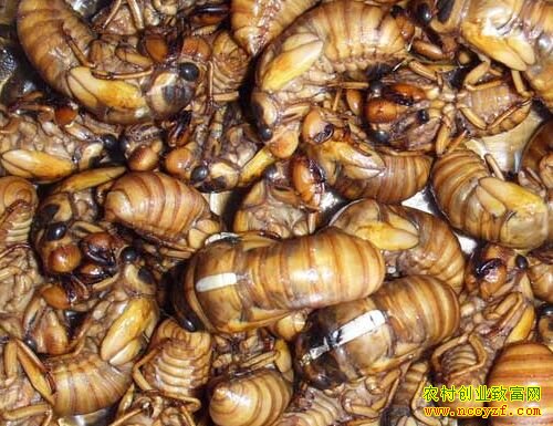 2016�����׬Ǯ��