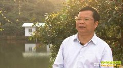 [�¸���]���������������ֲ���������ǧ��Ƹ�