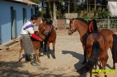 ����׬Ǯ�������ĳɱ������ǰ������