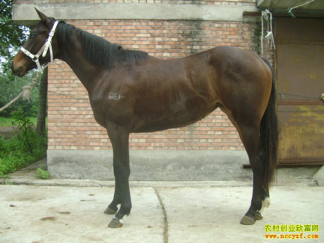 ����׬Ǯ�������ĳɱ������ǰ������