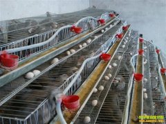 �����׬Ǯ�������ֳǰ������ֳЧ�����