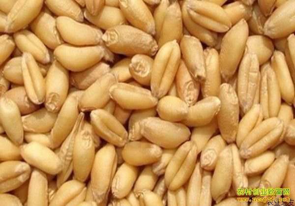 ����С��۸���Դ��ȱ��������߸�