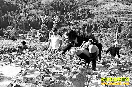 ���ȳ̿���ݮ��ժһĶ����5000Ԫ