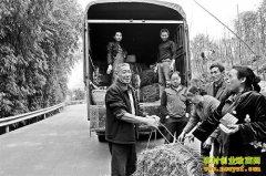 �����ɿ�ССһ�û�С���ռ�����������г�