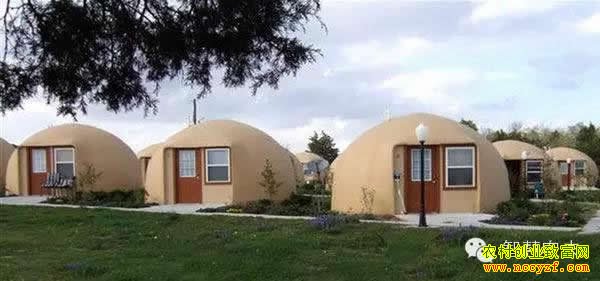 ����ũҵ��Ŀ