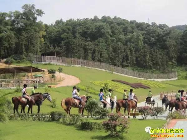 ����ũҵ��Ŀ