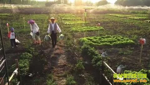 ����ũҵ��Ŀ