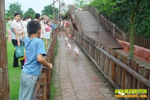 ����ũҵ��Ŀ