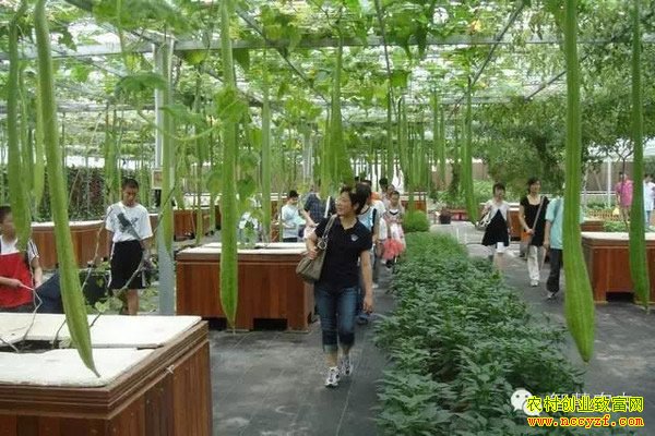 ����ũҵ��Ŀ