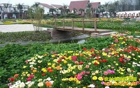 ����ũҵ��Ŀ