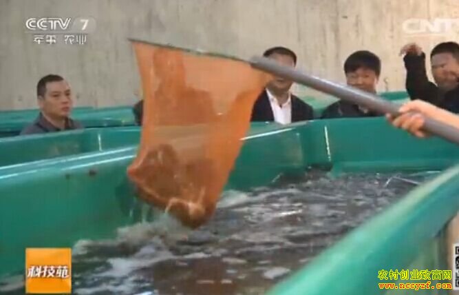 һ����������80������