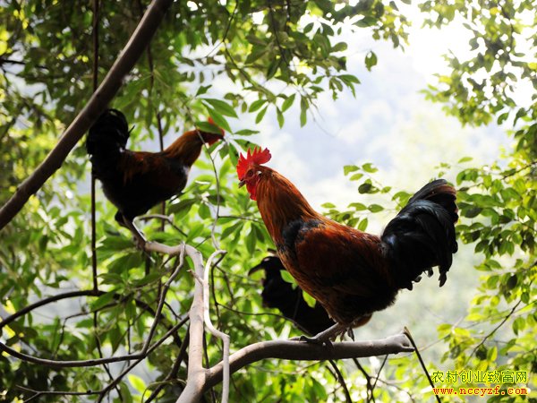 [�Ƽ�Է]����׿�����ؼ�