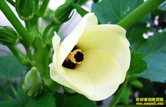 ����潭��������ֲ���������300��