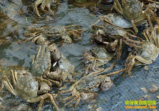 �����˻���ѧ�����������������봴ҵ��ֳ��բз