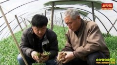 [�Ƽ�Է]ɽ��������Խǿ�ÿ���ɱ����