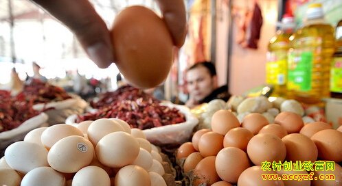 �����������۸����½�����