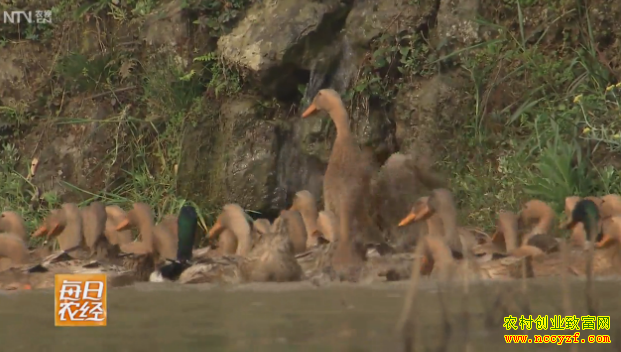 �Ĵ����س����ʵ�Ѽ�Ӽ۸�ͬ